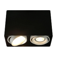 Потолочный светильник Arte Lamp A5655PL-2BK - купить онлайн в интернет-магазине Люстра-Тут (Санкт-Петербург) недорого
