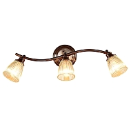 Спот Citilux Виндзор CL539531 - купить онлайн в интернет-магазине Люстра-Тут (Санкт-Петербург) недорого