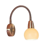 Спот Citilux Бонго CL516313 - купить онлайн в интернет-магазине Люстра-Тут (Санкт-Петербург) недорого