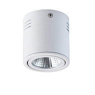 Потолочный светодиодный светильник De Markt Круз 637014101 - купить онлайн в интернет-магазине Люстра-Тут (Санкт-Петербург) недорого