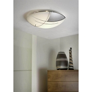 Потолочный светильник Eglo Raya 89758 Image 1