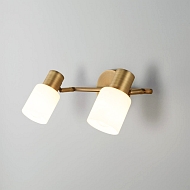 Спот Eurosvet Corso 20089/2 бронза - купить онлайн в интернет-магазине Люстра-Тут (Санкт-Петербург) недорого