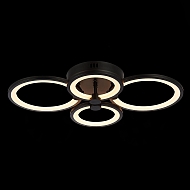 Потолочная светодиодная люстра Evoled Leto SLE200342-04 Image 1