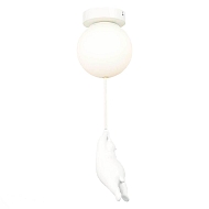 Потолочный светильник Evoluce MODENA SLE115402-01 Image 0