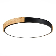 Потолочный сетодиодный светильник Evoluce Delia SLE201342-01 Image 1