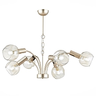 Подвесная люстра Evoluce Balchino SLE104203-06 - купить онлайн в интернет-магазине Люстра-Тут (Санкт-Петербург) недорого