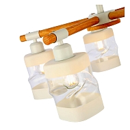 Потолочная люстра Evoluce Abiritto SLE114502-05 Image 1