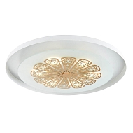 Потолочный светодиодный светильник Favourite Incarnatio 2602-5C - купить онлайн в интернет-магазине Люстра-Тут (Санкт-Петербург) недорого