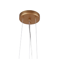 Подвесная люстра Favourite Babylon 2515-10P Image 2