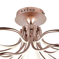 Потолочная светодиодная люстра Favourite Flora 2547-10U Image 2