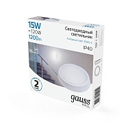 Настенно-потолочный светодиодный светильник Gauss Hall 193411315 Image 2