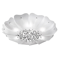 Потолочный светильник Lightstar Lobo 804040 - купить онлайн в интернет-магазине Люстра-Тут (Санкт-Петербург) недорого