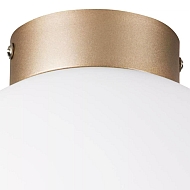 Настенно-потолочный светильник Lightstar Globo 812023 Image 2