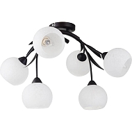 Потолочная люстра Lussole Bagheria LSF-6283-06 - купить онлайн в интернет-магазине Люстра-Тут (Санкт-Петербург) недорого