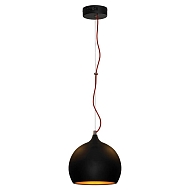 Подвесной светильник Lussole Loft LSN-6116-01 - купить онлайн в интернет-магазине Люстра-Тут (Санкт-Петербург) недорого