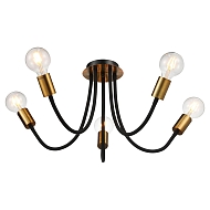 Подвесная люстра Lussole Lgo Regina LSP-8342 - купить онлайн в интернет-магазине Люстра-Тут (Санкт-Петербург) недорого