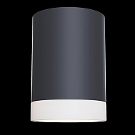 Потолочный светильник Maytoni Pauline C008CW-01B Image 2