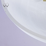 Потолочный светильник MW-Light Аида 323012603 Image 2