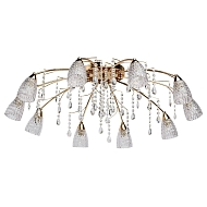 Потолочная люстра MW-Light Подснежник 294015910 - купить онлайн в интернет-магазине Люстра-Тут (Санкт-Петербург) недорого