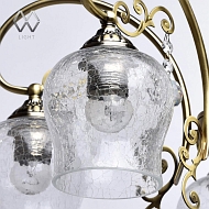 Потолочная люстра MW-Light Моника 372011808 Image 2