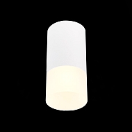 Потолочный светильник ST Luce ST100.512.01 Image 1