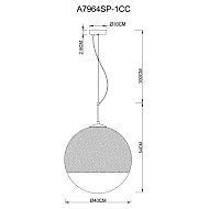 Подвесной светильник Arte Lamp Jupiter Chrome A7964SP-1CC Image 1