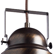 Подвесной светильник Arte Lamp Martin A5213SP-1BR Image 2