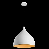 Подвесной светильник Arte Lamp 73 A9155SP-1WH Image 1