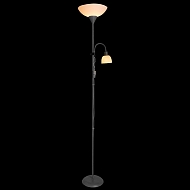 Торшер Arte Lamp Duetto A9569PN-2SI Image 2