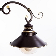 Потолочная люстра Arte Lamp 7 A4577PL-3CK Image 2