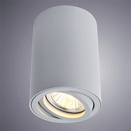 Потолочный светильник Arte Lamp A1560PL-1GY Image 1