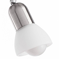 Спот Arte Lamp A3115PL-2SS Image 2