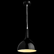 Подвесной светильник Arte Lamp Pendants A9077SP-1BK Image 1