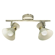 Спот Arte Lamp Baltimore A1406AP-2WG - купить онлайн в интернет-магазине Люстра-Тут (Санкт-Петербург) недорого