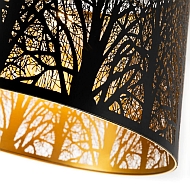 Подвесной светильник Arte Lamp Celesta A2769SP-1BK Image 1