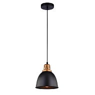 Подвесной светильник Arte Lamp Eurica A4245SP-1BK - купить онлайн в интернет-магазине Люстра-Тут (Санкт-Петербург) недорого