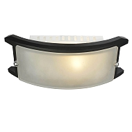 Потолочный светильник Arte Lamp A6462AP-1CK Image 2
