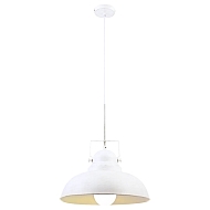 Подвесной светильник Arte Lamp Martin A5213SP-1WG Image 2