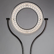Торшер Arte Lamp Duetto Led A5904PN-2SS Image 3