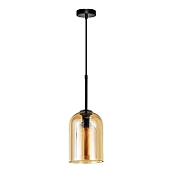 Подвесной светильник Arte Lamp Paio A7015SP-1BK - купить онлайн в интернет-магазине Люстра-Тут (Санкт-Петербург) недорого