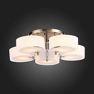 Потолочная люстра Evoluce Foresta SL483.352.05 Image 3