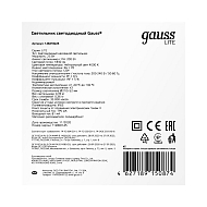 Настенно-потолочный светодиодный светильник Gauss Lite 126418225 Image 2