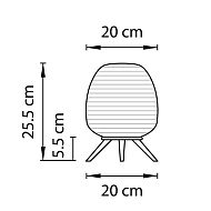 Настольная лампа Lightstar Arnia 805911 Image 3