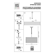 Подвесная люстра Lightstar Zeta 728063 Image 3