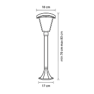 Уличный светодиодный светильник Lightstar Lampione 375770 Image 1