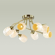 Потолочная люстра Lumion Dorothy 4528/8C Image 1