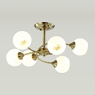Потолочная люстра Lumion Daniella 4537/6C Image 1