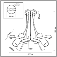 Подвесная люстра Lumion Claire 3714/5A Image 3