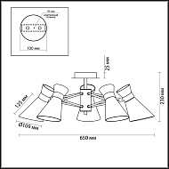 Потолочная люстра Lumion Laconica 3498/5 Image 3