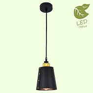 Подвесной светильник Lussole Loft Shirley GRLSP-9861 Image 1